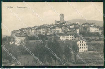 Belluno Feltre cartolina ZKM8699