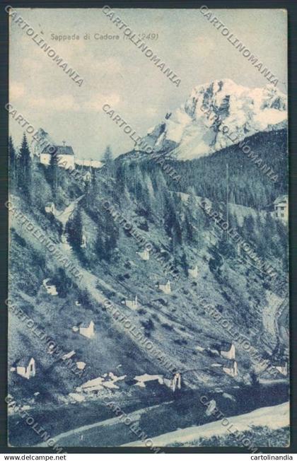 Belluno Sappada cartolina LQ9318