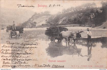 * BOLOGNA - Costumi campestri