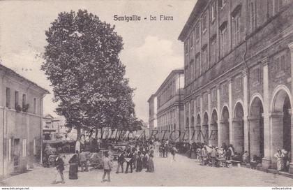 SENIGALLIA: La Fiera   1913