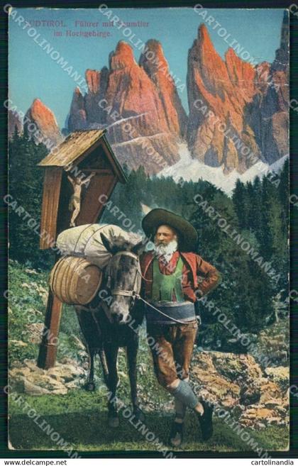 Bolzano Alto Adige Costumi Asino cartolina QZ8420