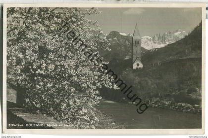 Bolzano - Motivo all Isarco - Foto-Ansichtskarte - Verlag Lor. Fränzl Bolzano