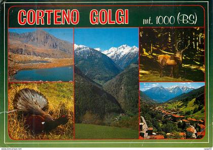 CPM Corteno Golgi Valcamonica Turistica Regione Lombardia