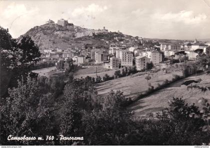 CAMPOBASSO: Panorama (2)   1957