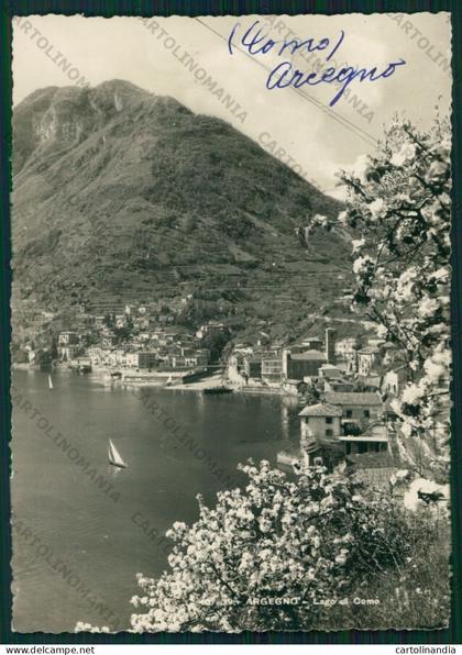Como Argegno Lago di Como Foto FG cartolina VK2654