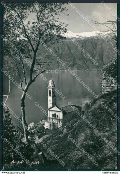 Como Menaggio Lago di Como Foto FG cartolina KB3040