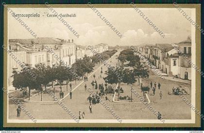 Foggia Serracapriola cartolina QQ4914