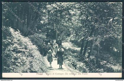 Frosinone Fiuggi cartolina MV1319