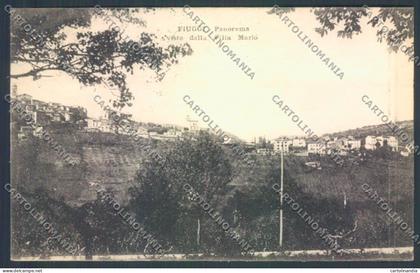 Frosinone Fiuggi cartolina ZB3248