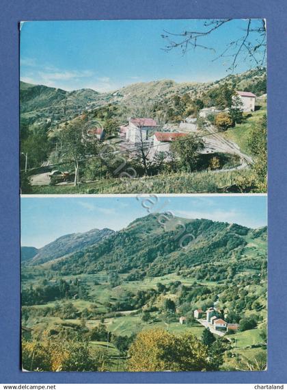 Cartolina Donetta - Nuove villette e cascine - 1972