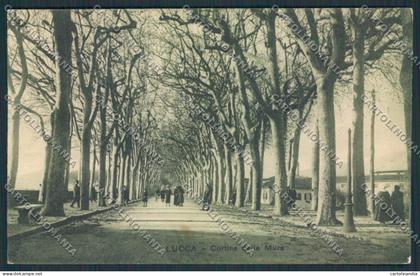 Lucca Città cartolina MV3815