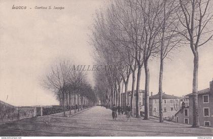 LUCCA - Cortina S.Iacopo