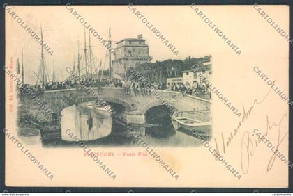 Lucca Viareggio cartolina ZB5502