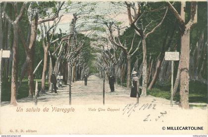 VIAREGGIO - Un saluto da Viareggio - Viale Gino Capponi 1902