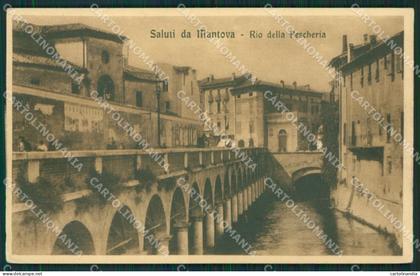 Mantova Città cartolina KV5742