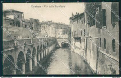 Mantova Città cartolina QT0551