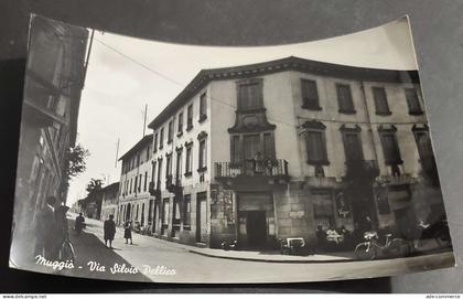Cartolina Muggiò - Via Silvio Pellico