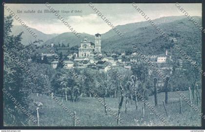 Novara Miasino cartolina ZQ7832