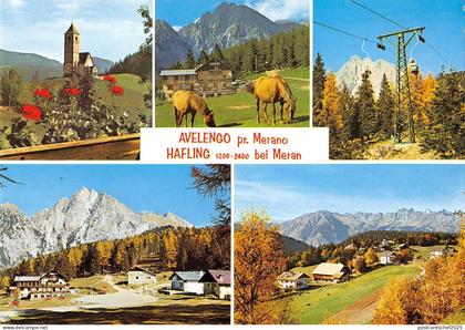 BR85438 avelengo pr merano hafling bei merano italy