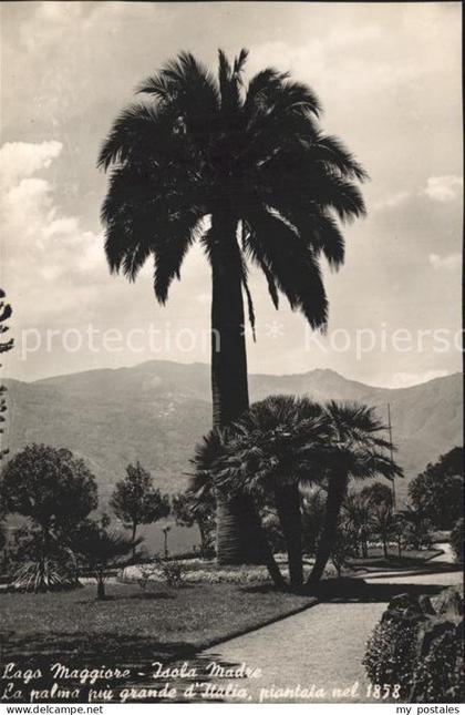 Isola Madre Lago Maggiore Lago Maggiore