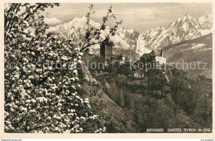 Merano Meran Castel Tyrol