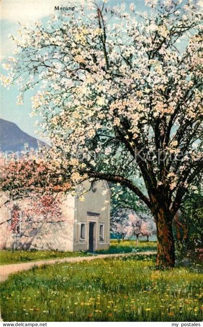 Merano Meran Primavera la Merano