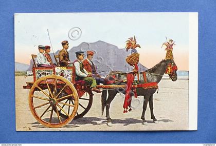 Cartolina Sicilia - Carretto Siciliano - 1943