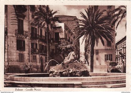 #PALERMO: CAVALLO MARINO
