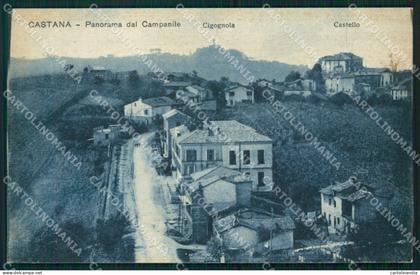 Pavia Castana cartolina QT0406