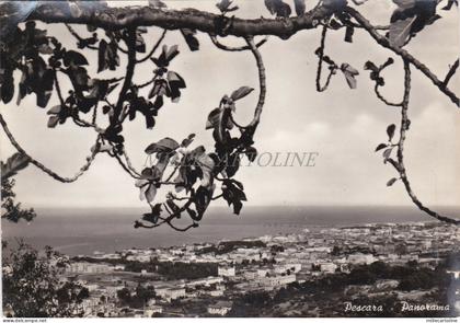 PESCARA - Panorama 1954
