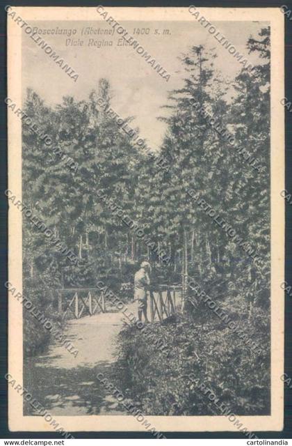 Pistoia Boscolungo cartolina ZB4529