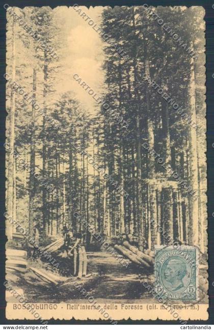 Pistoia Boscolungo cartolina ZB4539