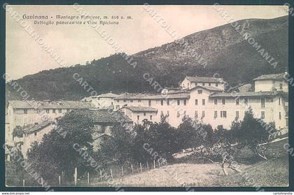 Pistoia Gavinana cartolina JK5725