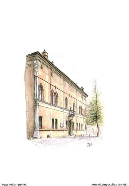 dz174 cartolina correggio,palazzo dei principi, provincia di reggio emilia