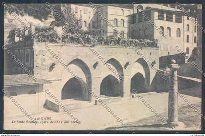 Siena città cartolina ZG1230