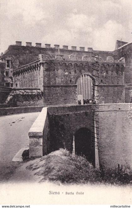 SIENA: Porta Ovile
