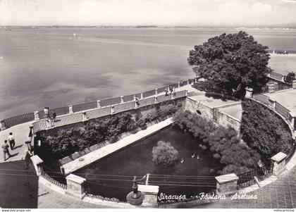 SIRACUSA - Fontana Aretusa