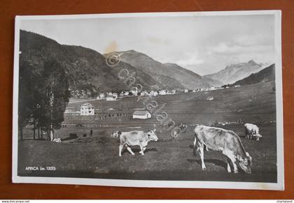 Cartolina Aprica (Lombardia) (m. 1200) - 1936