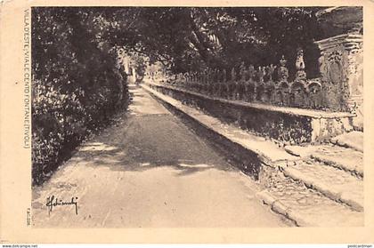 Italia - TIVOLI - Villa d'Este, Viale Cento Fontane
