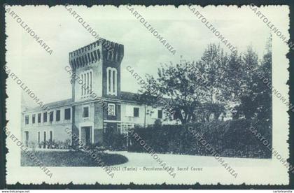 Torino Rivoli cartolina ZT1368