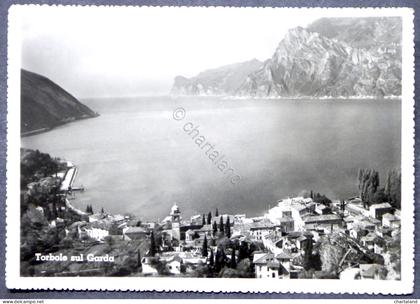 Cartolina Torbole sul Garda (Trentino Alto-Adige) - 1954