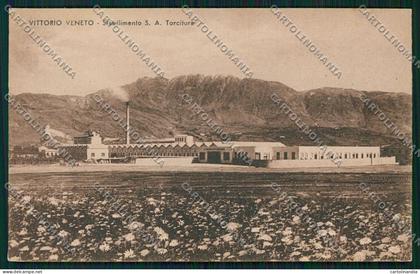 Treviso Vittorio Veneto cartolina QK4629