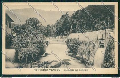 Treviso Vittorio Veneto cartolina QK4631