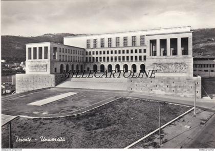 TRIESTE: Universita'