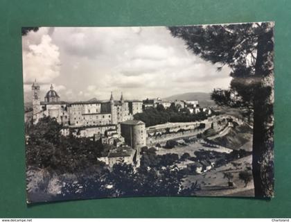 Cartolina Urbino - Panorama - 1957