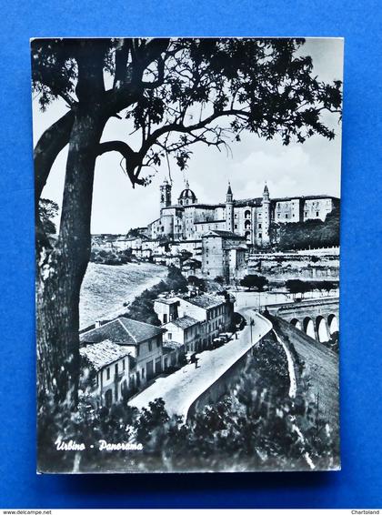 Cartolina Urbino - Panorama - 1960