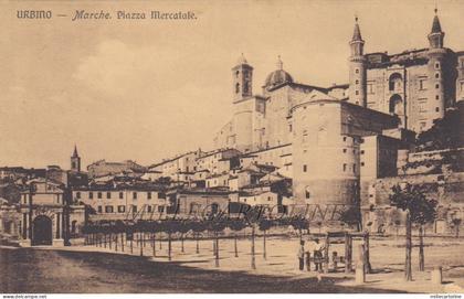URBINO: Piazza Mercatale    1911