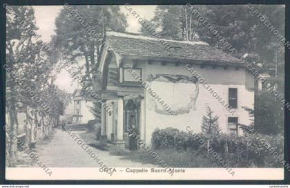 Verbania Orta cartolina ZQ7295