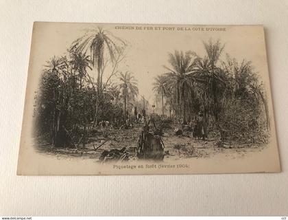 COTE-d'IVOIRE - Chemin de fer et port de la Cote d'Ivoire - Piquetage en forêt  (février 1904)