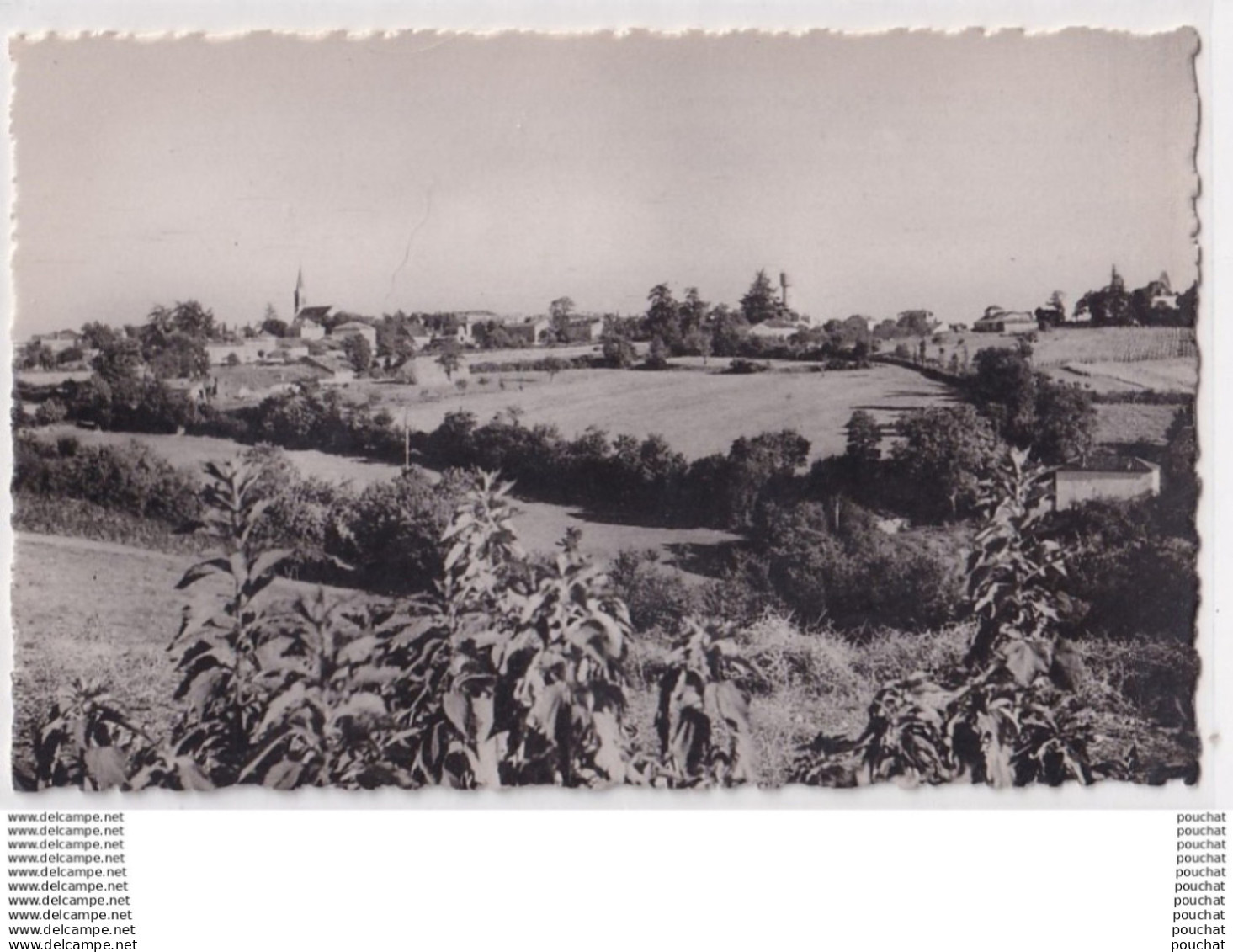 J13-47) LAROQUE TIMBAUT (LOT ET GARONNE) VUE GENERALE - ( 2 SCANS )